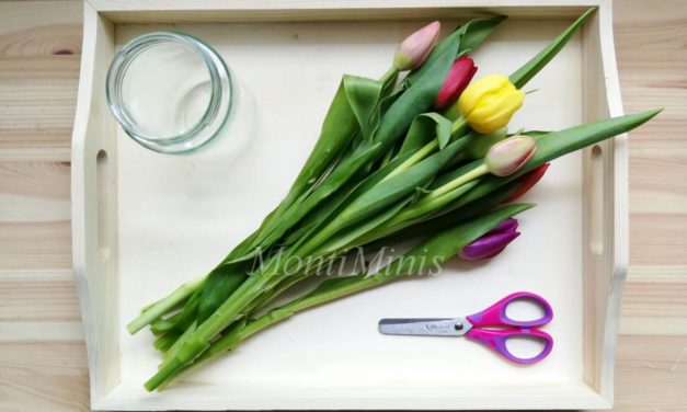 Blumen arrangieren – Eine Übung des täglichen Lebens nach Montessori