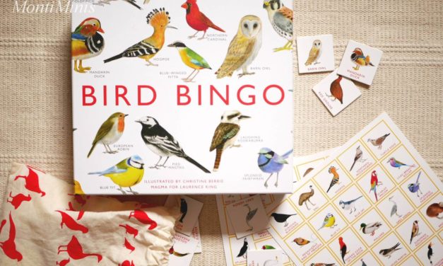 Spiele-Tipp: Vogel-Bingo