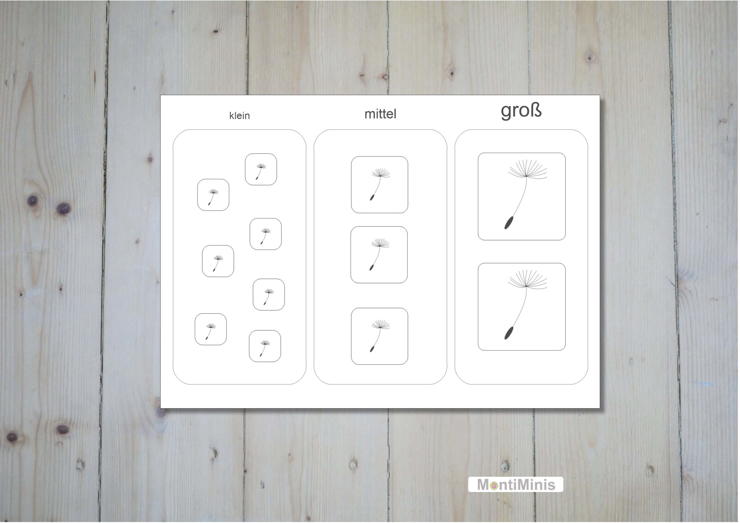 Pusteblumen-Löwenzahn-Vorschul-Set-Spielideen-Montessori-montiminis