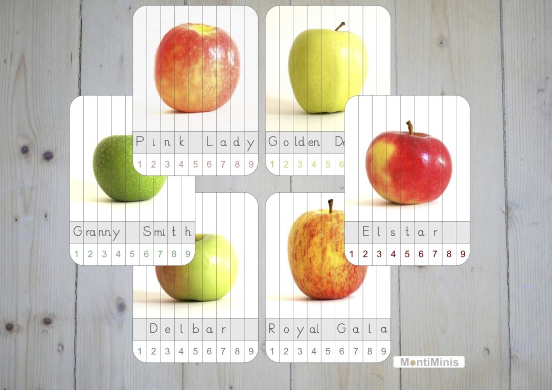 Apfelsorten Puzzle (2-teilig & Streifenpuzzle) - Montessori Blog & Shop