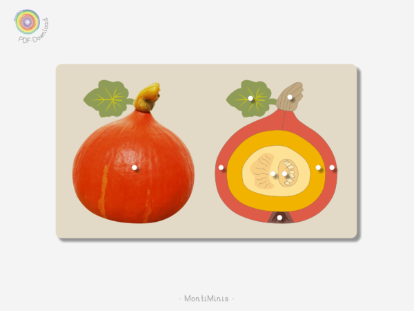 Kürbis DIY-Puzzle Druckvorlage -Herbst Spielidee für Kinder, Unterrichtsmaterial Biologie, Montessori inspiriert - MontiMinis